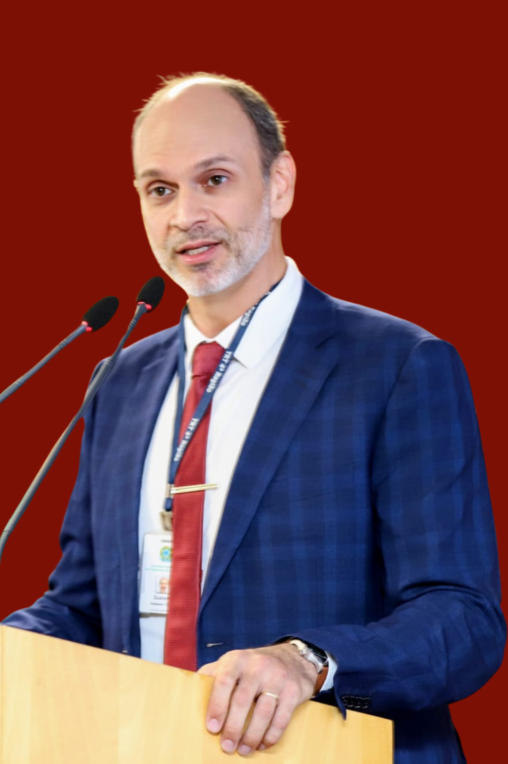 Gustavo Martins Baini